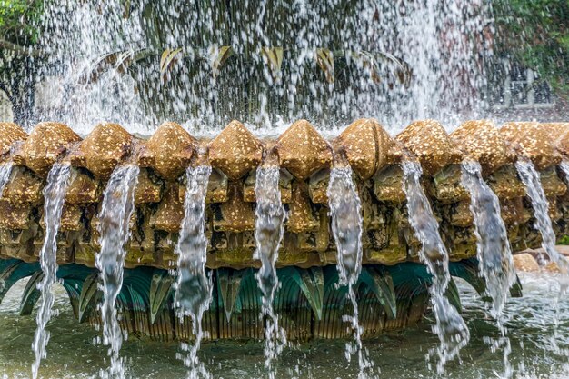 A close-up shote of a fountain in charleston south carolina