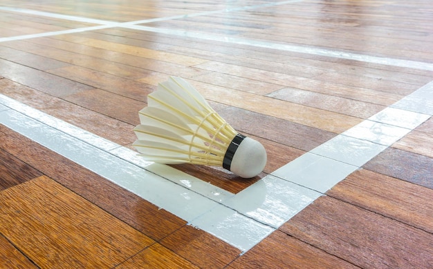 Photo close-up of shuttercock on hardwood floor