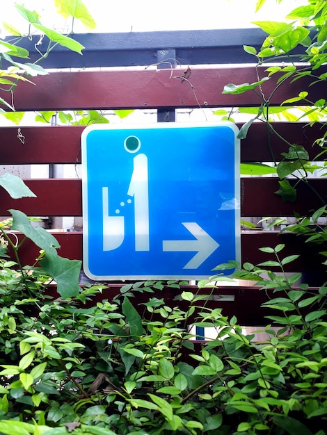 Close-up of sign against blue sky