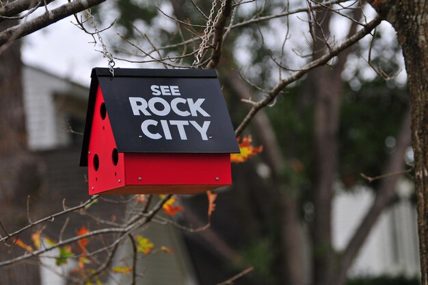 Close-up of sign board