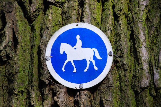 Photo close-up of sign on tree trunk