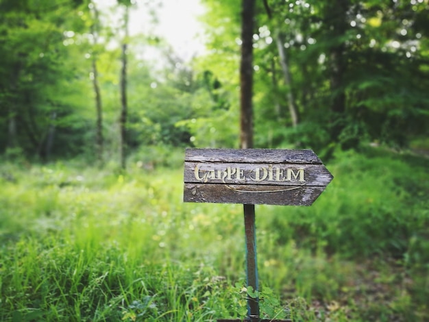 Photo close-up of signboard on landscape