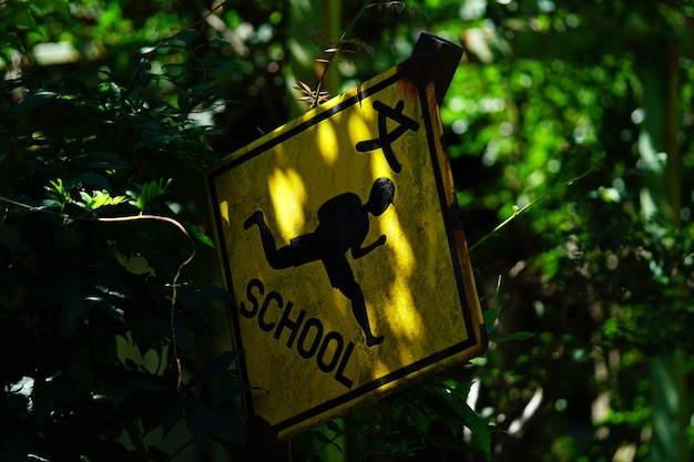 Photo close-up of signboard on plant