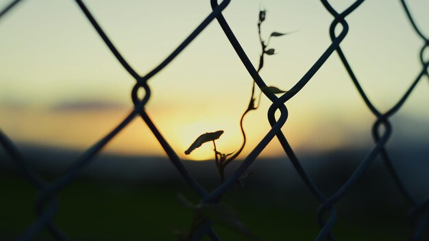 Foto close-up della silhouette della recinzione a catena contro il cielo durante il tramonto