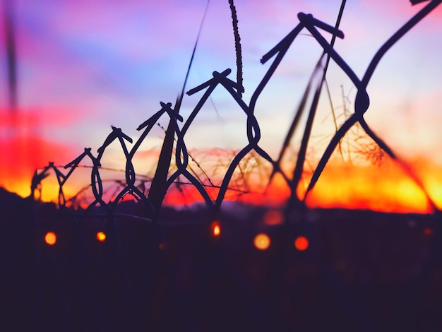 Close-up of silhouette fence against sky during sunset