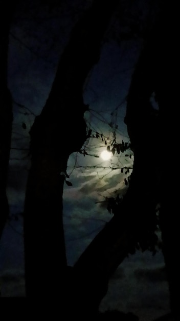 Foto close-up di una mano a silhouette che tiene una luce illuminata contro il cielo al tramonto