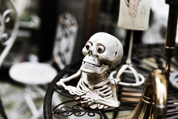 Photo close-up of skeleton on table