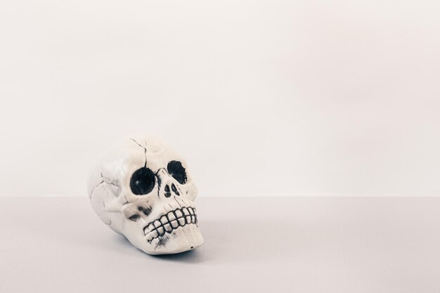 Close-up of skull on table