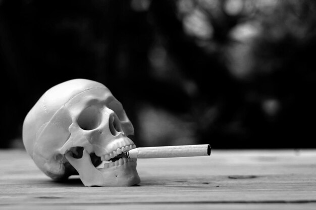 Photo close-up of skull with cigarette on table