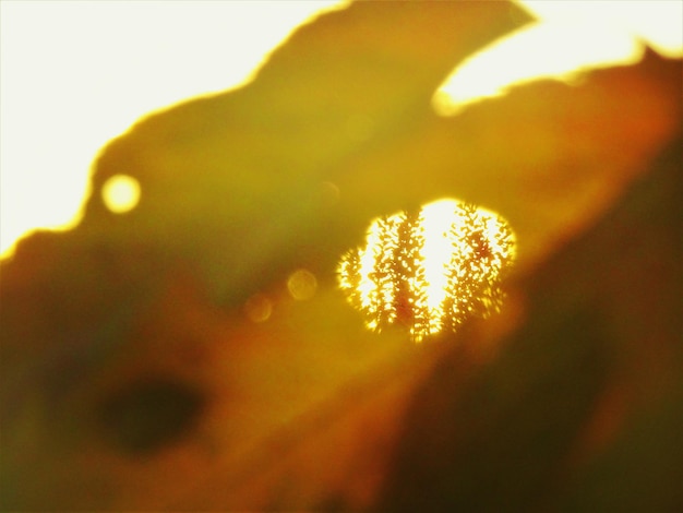 Close-up of sky at night