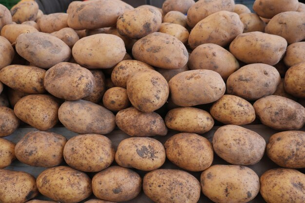 Close up of slice of raw potato selling on farmers market