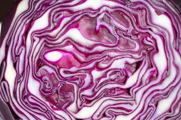 Закройте нарезанный фиолетовый салат капусты
