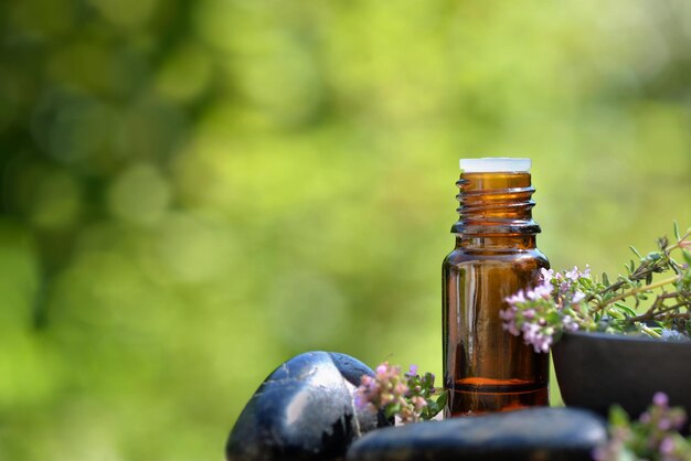 Photo close-up of small bottle on plant