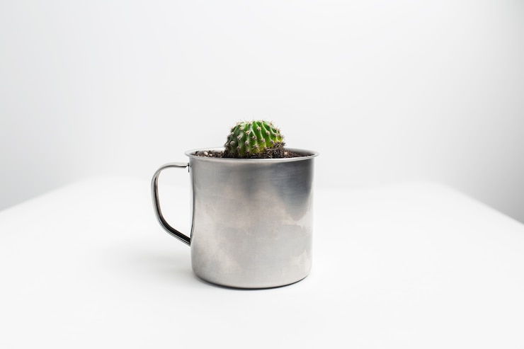 Photo 白の鋼のマグカップに鉢植えの小さな緑のサボテンのクローズアップ。