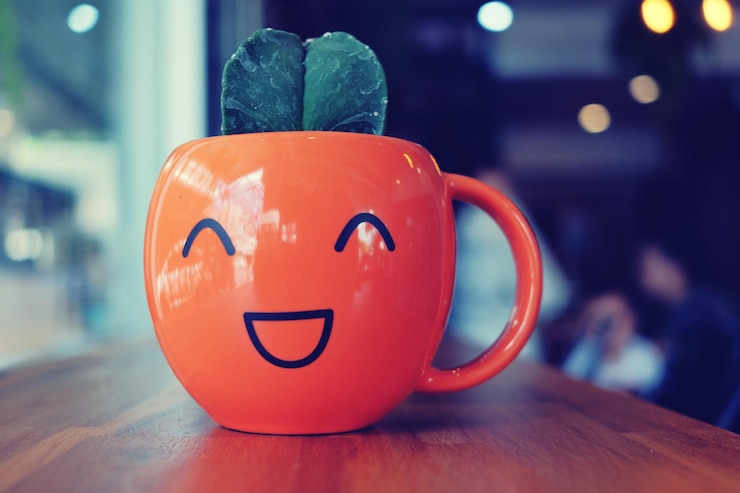 Photo close-up of smiley face on houseplant at table