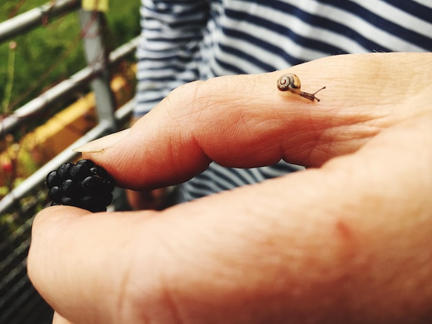 Photo close-up of snail on hand