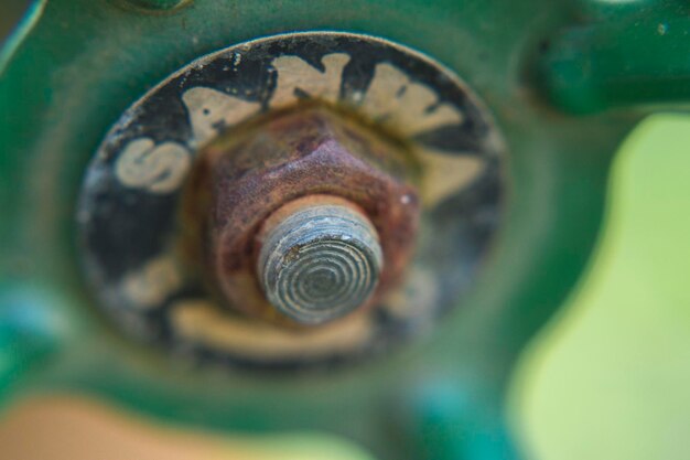 Close-up of snail on metal