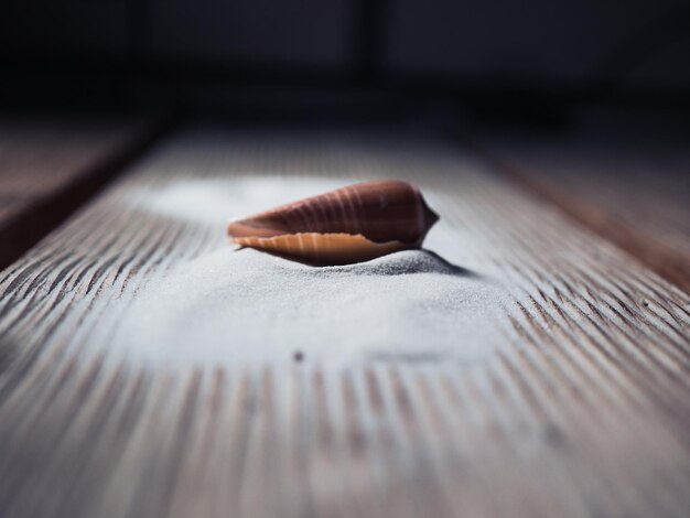 Foto prossimo piano di una lumaca su un tavolo