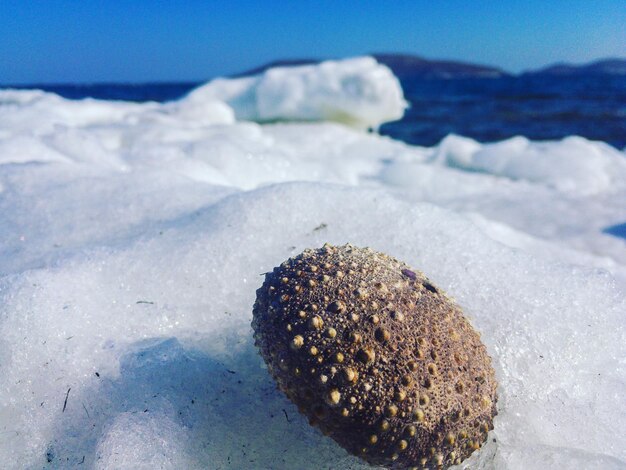 Close-up of snow on beach against sky