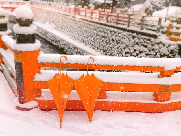 Close-up of snow covered cars during winter