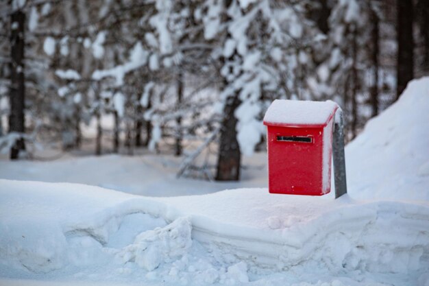 Foto prossimo piano di terreno coperto di neve