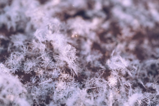 A close up of snow crystals on a rock