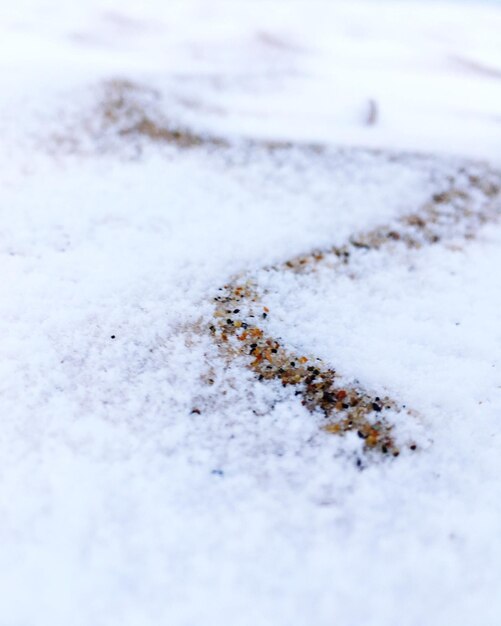 Photo close-up of snow on field