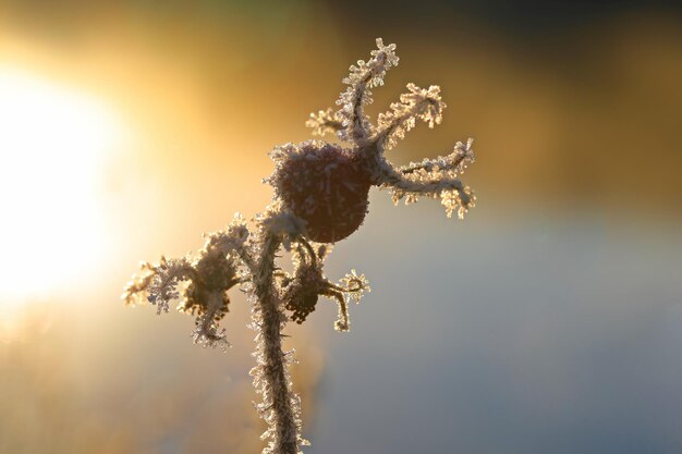 Foto prossimo piano della neve sull'impianto