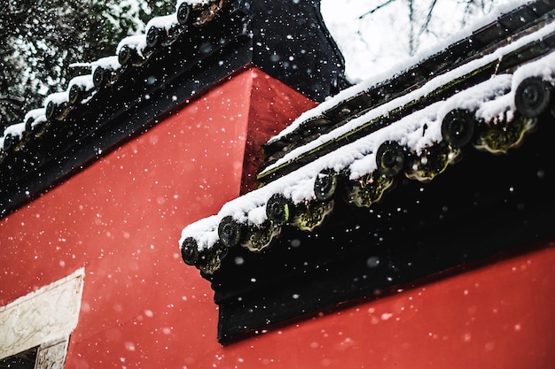 Close-up of snow on water