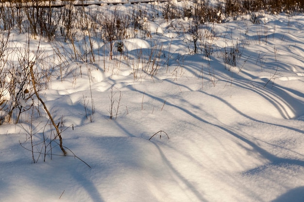 Close up on Snow in winter