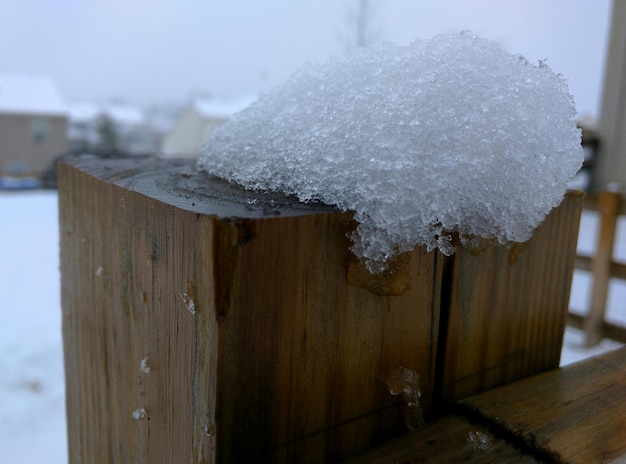 Close-up of snow on wooden post