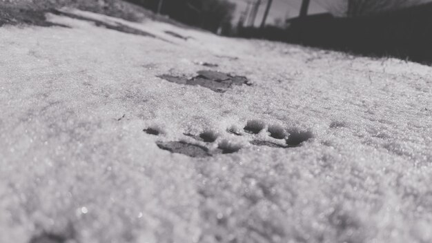 Photo close-up of snow