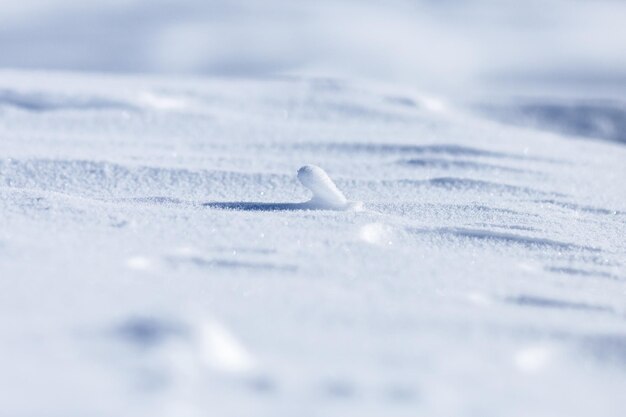 Photo close-up of snow