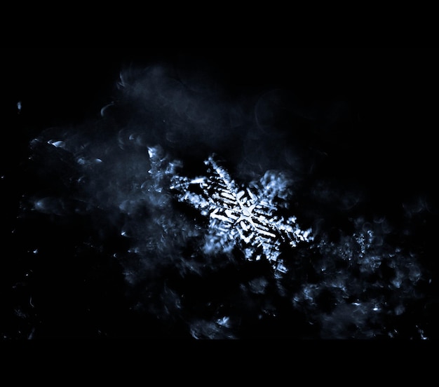 Photo close-up of snowflake at night