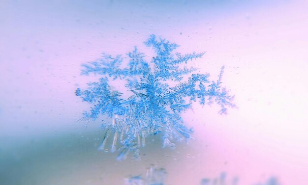 Photo close-up of snowflakes on glass window