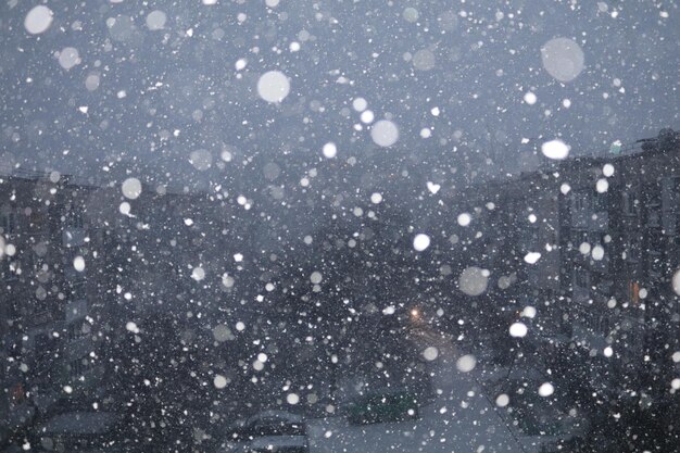 Photo close-up of snowflakes on snow