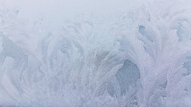 Foto close-up di fiocchi di neve sulla neve