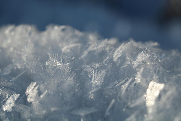 雪の上の雪花のクローズアップ