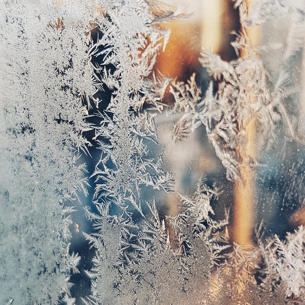 Photo close-up of snowflakes on window