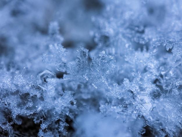 Foto prossimo piano dei fiocchi di neve