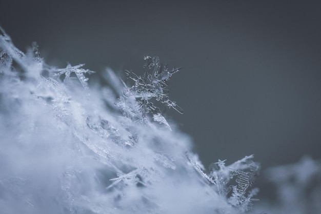 Foto prossimo piano dei fiocchi di neve