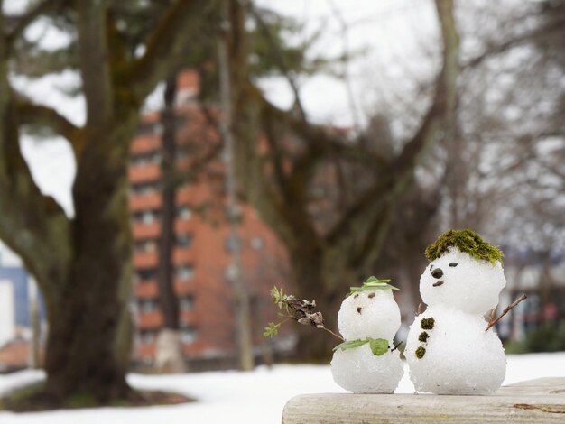 公園のベンチにある雪だるまのクローズアップ