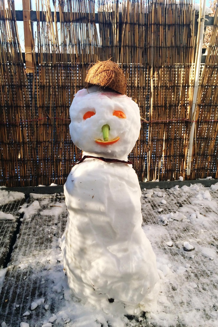 Photo close-up of a snowman