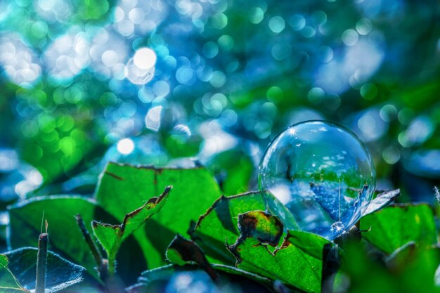 Foto close-up di una bolla di sapone su una foglia verde