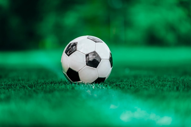 Close-up of soccer ball on grass