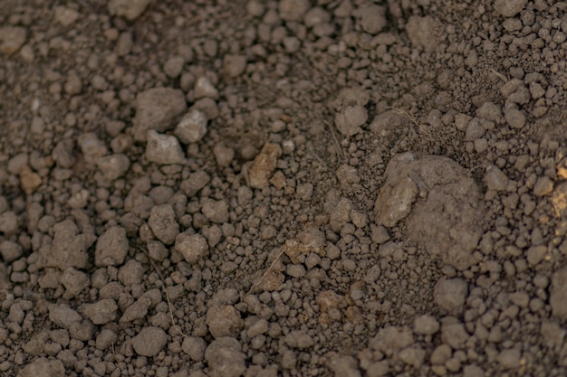 Close up of soil background. 