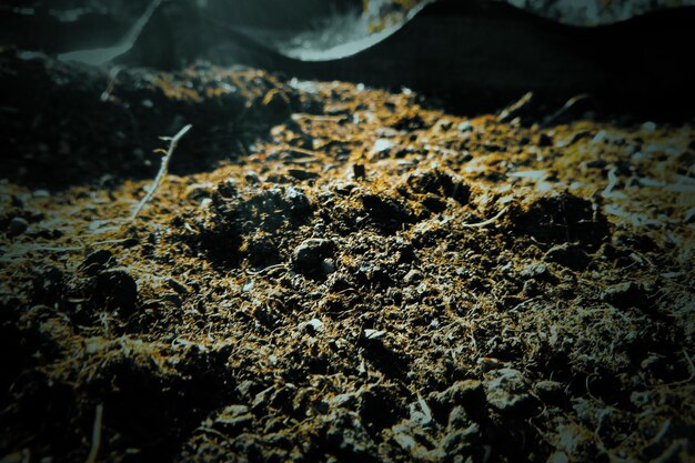 Photo close-up of soil