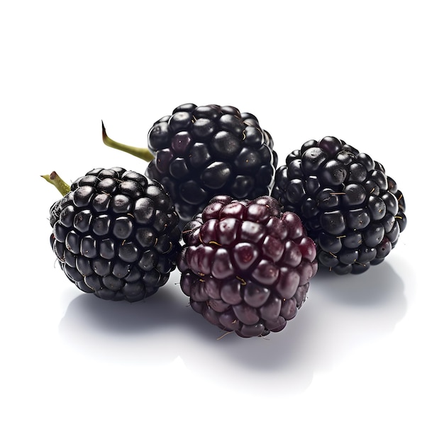 A close up of some blackberries with a green stem