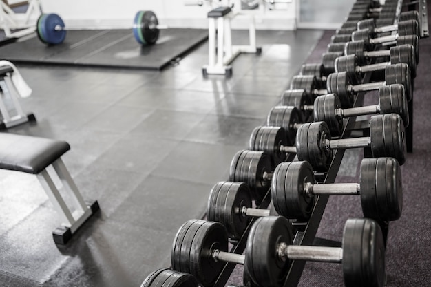 Close up of some Dumbbells in row