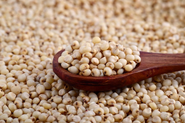 Close up of Sorghum with wooden spoon.